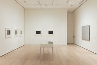 407: Brice Marden: The Form of a Plane. Nov 29, 2023–Mar 3, 2025.