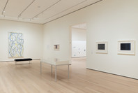 407: Brice Marden: The Form of a Plane. Nov 29, 2023–Mar 3, 2025. 1 other work identified