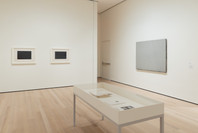 407: Brice Marden: The Form of a Plane. Nov 29, 2023–Mar 3, 2025.
