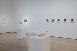Installation photo, 4 of 6