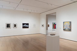 Installation photo, 7 of 16
