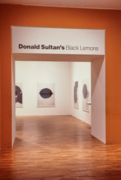 Installation photo, 10 of 10