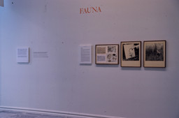 Installation photo, 11 of 12