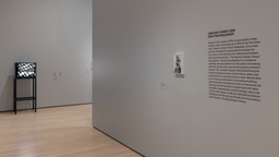 Installation photo, 14 of 68