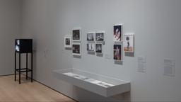 Installation photo, 15 of 68