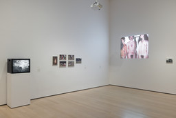Installation photo, 6 of 68