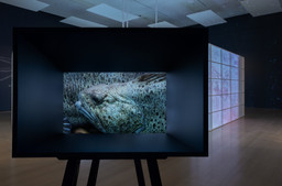 Installation photo, 62 of 68