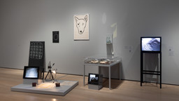 Installation photo, 17 of 68