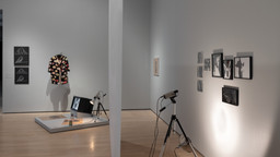 Installation photo, 19 of 68
