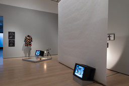 Installation photo, 20 of 68