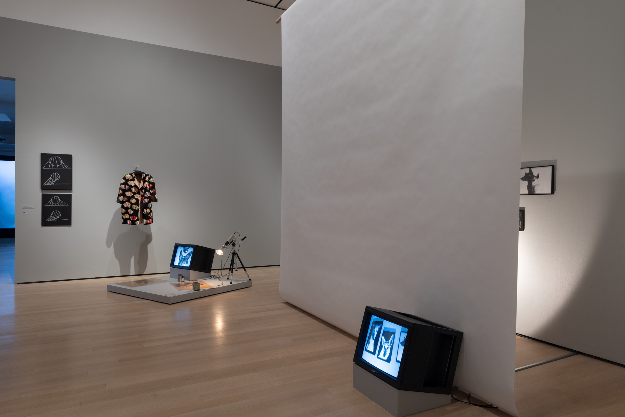 Installation view of the exhibition “Joan Jonas: Good Night Good ...