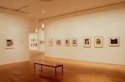 Installation photo, 26 of 35