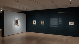 Installation photo, 4 of 50