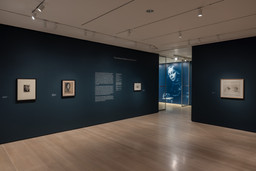Installation photo, 5 of 50