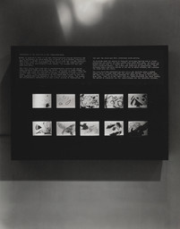 Installation photo, 1 of 1