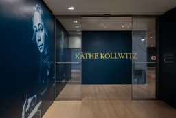 Installation photo, 1 of 50