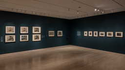 Installation photo, 10 of 50