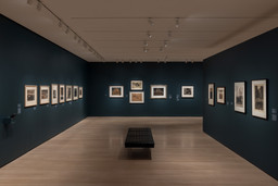 Installation photo, 19 of 50