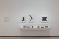 409: Dance Index. Ongoing. 2 other works identified