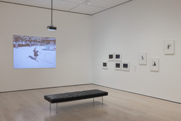 Installation photo, 3 of 8