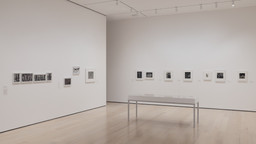 Installation photo, 5 of 8