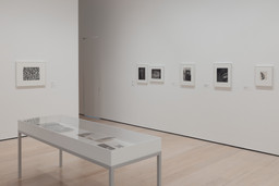 Installation photo, 6 of 8