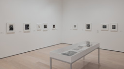 Installation photo, 7 of 8