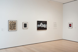 Installation photo, 8 of 16