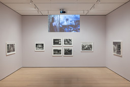 Installation photo, 11 of 70