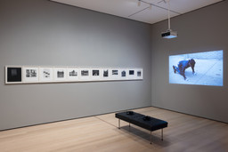 Installation photo, 14 of 70