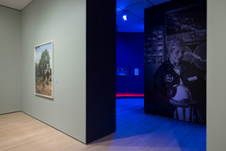 Installation photo, 30 of 70