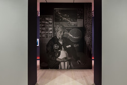 Installation photo, 31 of 70