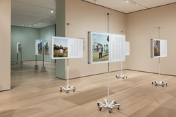 Installation photo, 44 of 70
