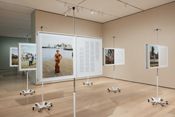 Installation photo, 47 of 70