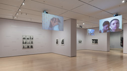 Installation photo, 5 of 70