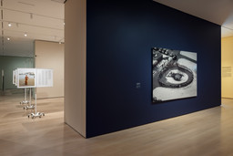 Installation photo, 50 of 70