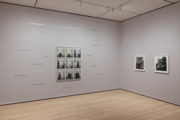Installation photo, 6 of 70