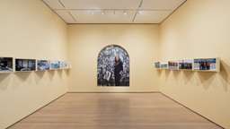 Installation photo, 60 of 70