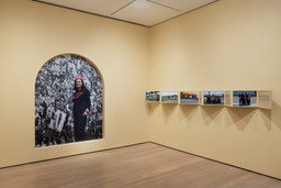 Installation photo, 61 of 70
