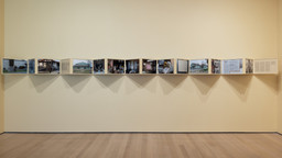 Installation photo, 64 of 70