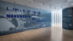 Installation photo, 1 of 70