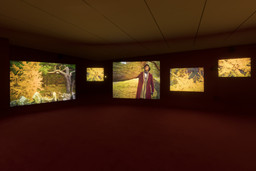 Installation photo, 12 of 29