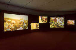 Installation photo, 13 of 29