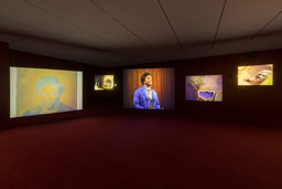 Installation photo, 17 of 29