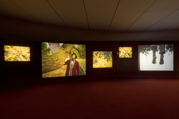 Installation photo, 26 of 29