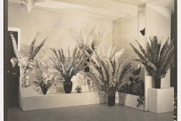 The Museum of Modern Art Archives, New York