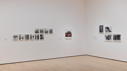 Installation photo, 8 of 11