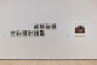 419: Photography and Language. Ongoing. 1 other work identified