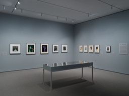 Installation photo, 5 of 10
