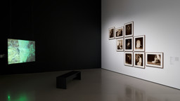 Installation photo, 5 of 6